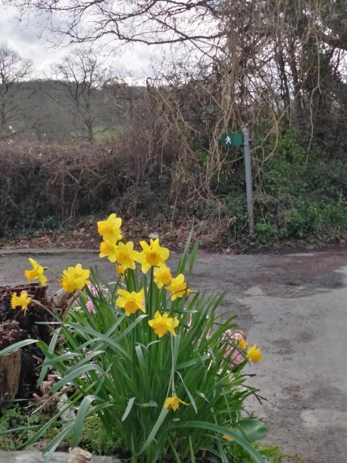 The Mill Cottage Llechryd ภายนอก รูปภาพ