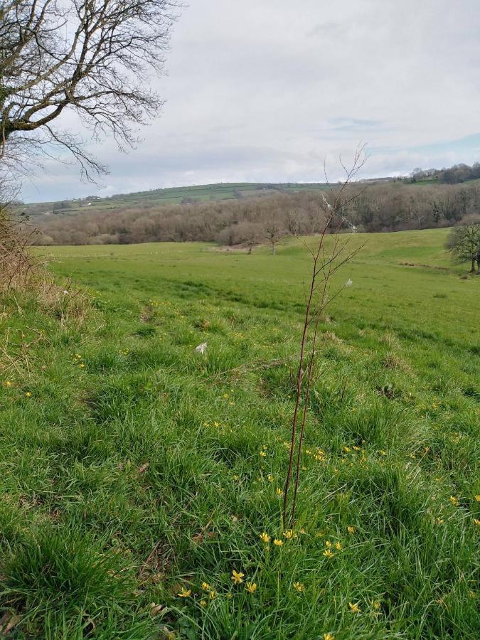 The Mill Cottage Llechryd ภายนอก รูปภาพ