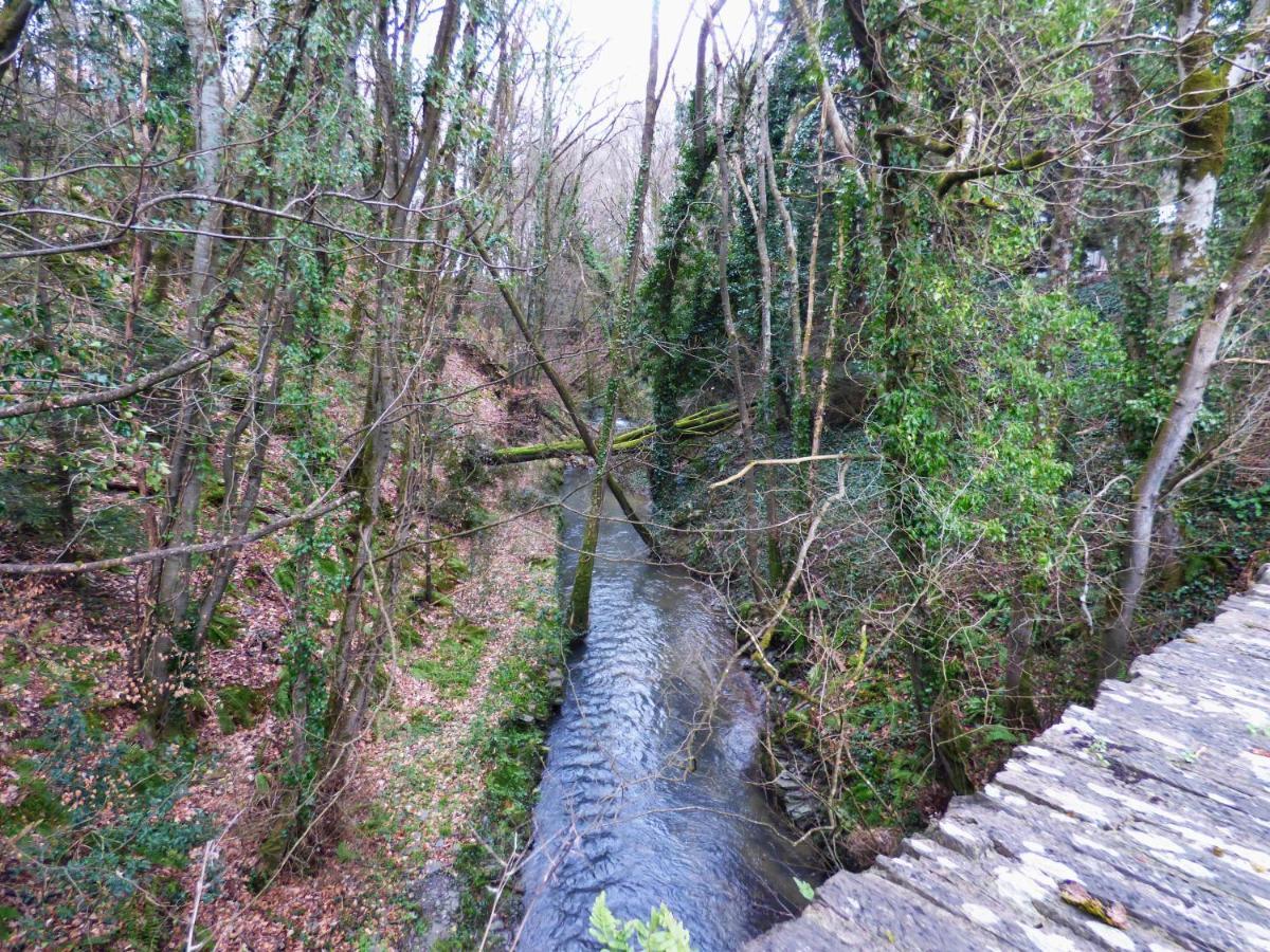 The Mill Cottage Llechryd ภายนอก รูปภาพ